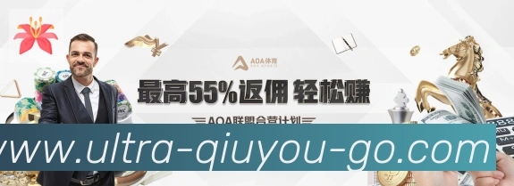未来规划